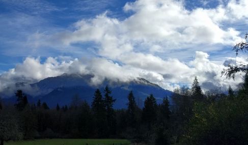 The Gifford Pinchot National Forest, off the southwestern flanks of Mt. Rainier, shrouded in cloud.